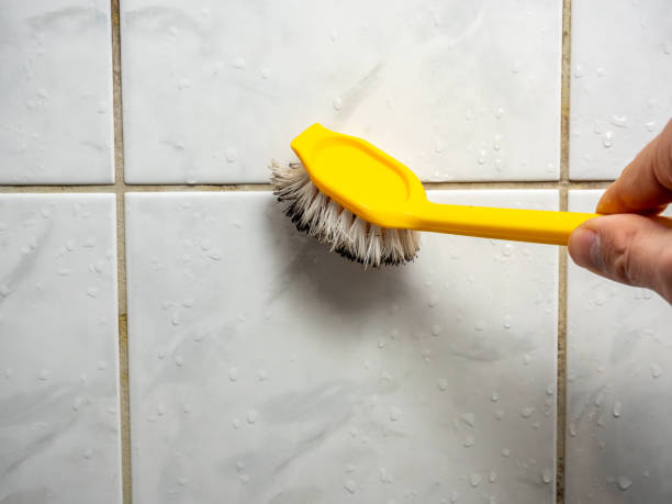 Best Attic Mold Removal  in Georgetown, CA