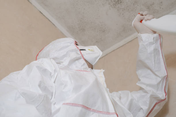Best Certified Mold Removal  in Georgetown, CA
